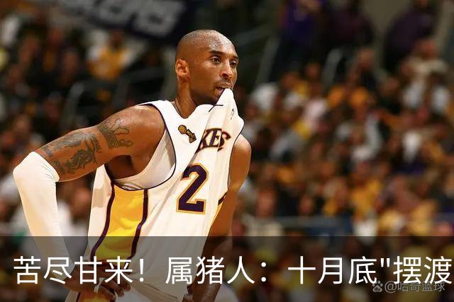苦尽甘来！属猪人：十月底"摆渡人"悄然降临