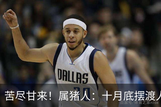 苦尽甘来！属猪人：十月底"摆渡人"悄然降临